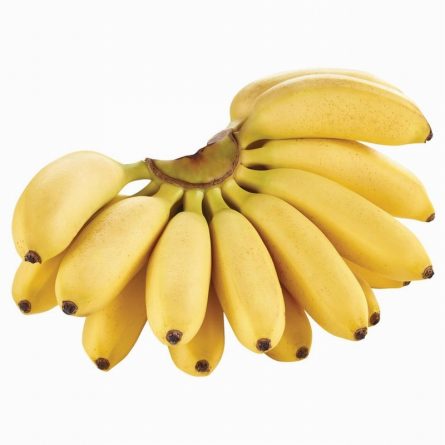 Bananatiers - Diep Io All Tanks - (805x806) Png Clipart Download