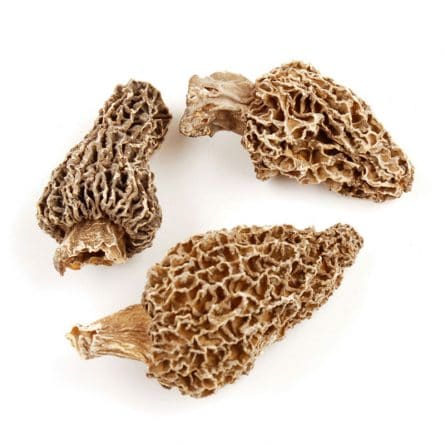Loose Dried Morel Mushrooms from Panzer's