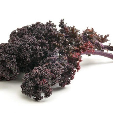 Bunch of Purple Kale from Panzer's