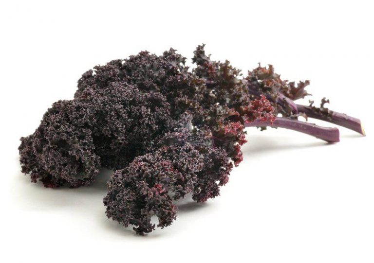 Bunch of Purple Kale from Panzer's