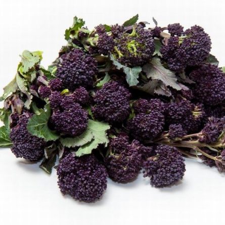 Heap of Purple Sprouting Broccoli from Panzer's