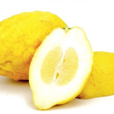 Italian Cedro Lemon from Panzer's
