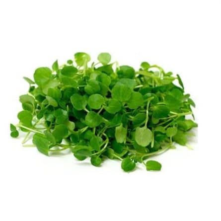 Bunch of Green Watercress from Panzer's