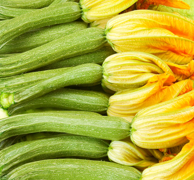 Close up of fresh yellow and green courgette flowers