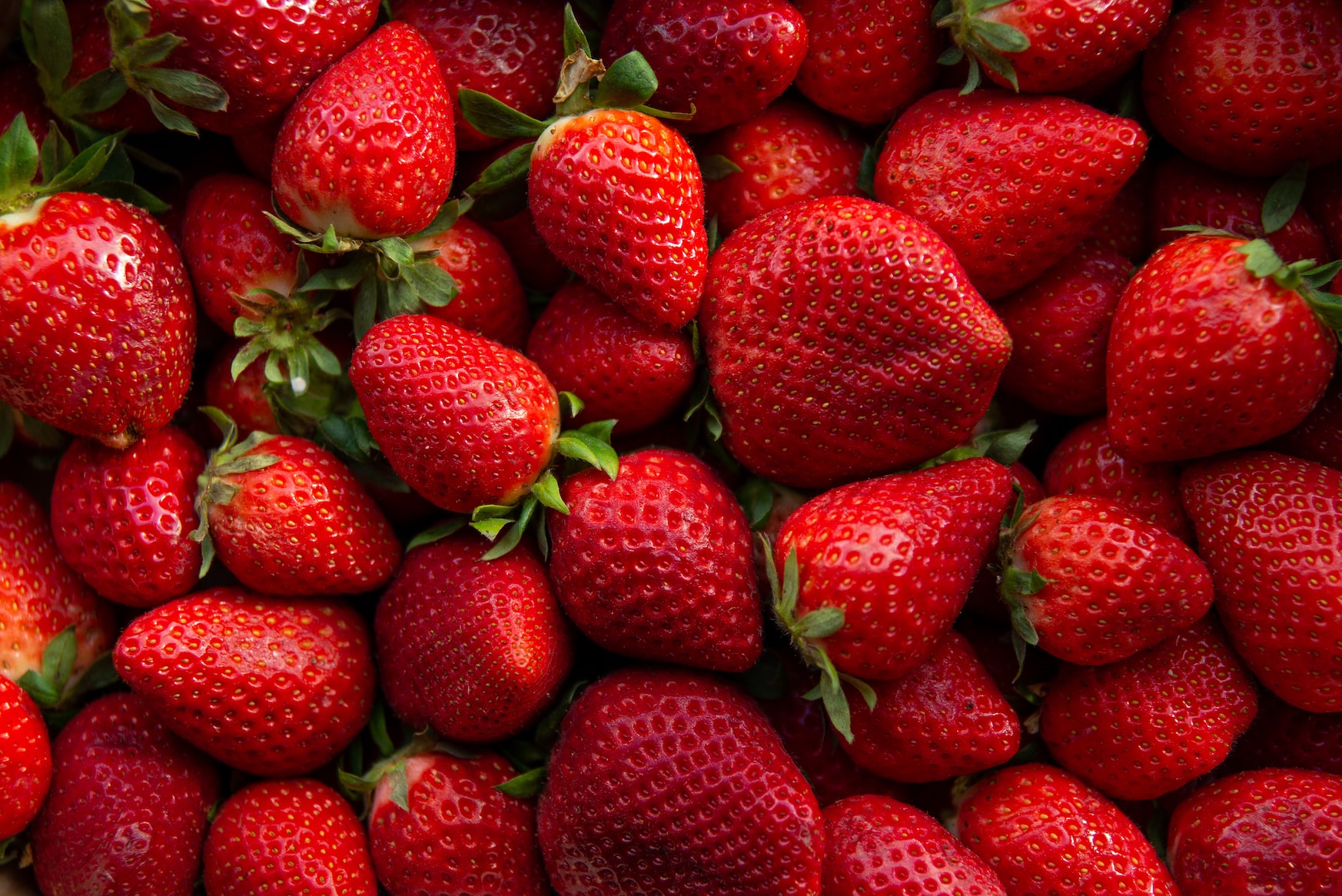 Ripe red strawberries