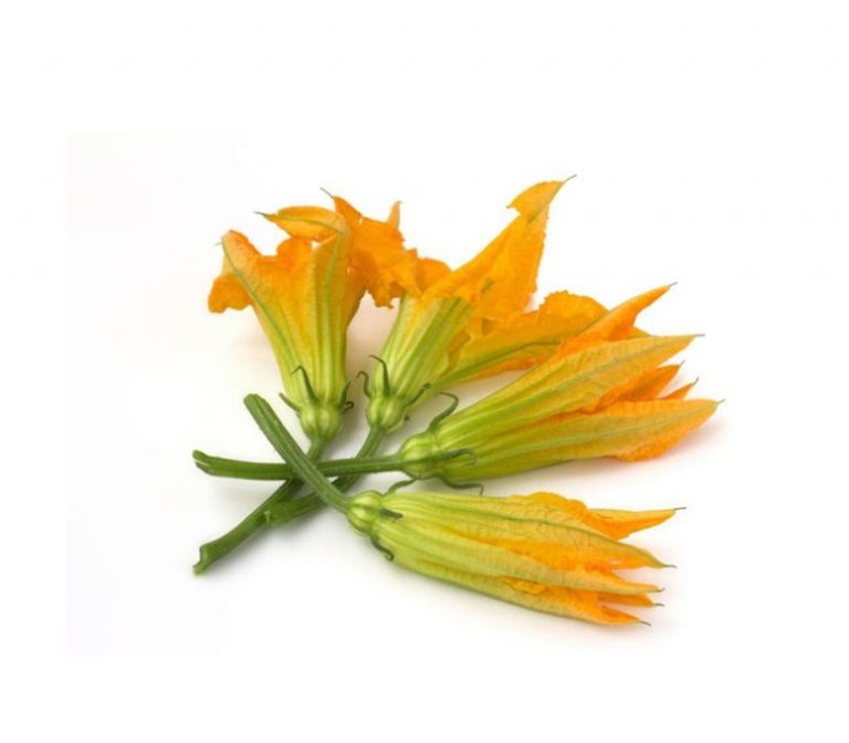 Courgette Flowers from Panzer's