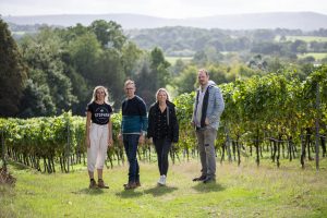 The team from the Stopham Vineyards stands in front of their vines in Sussex, England.