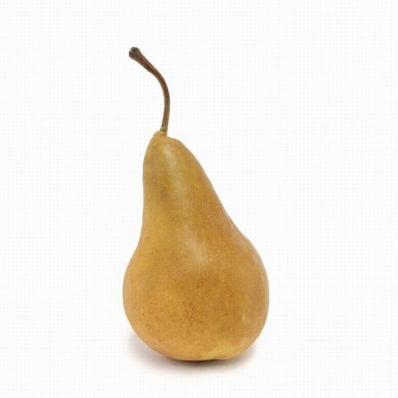 French Comice Pear from Panzer's