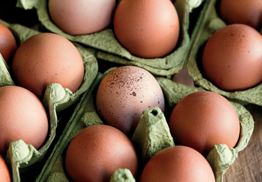Woodland Farms Eggs