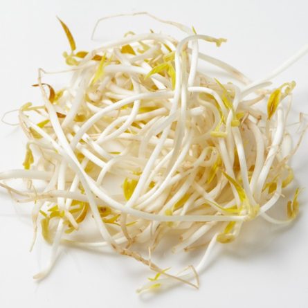 Pack of Fresh Beansprouts from Panzer's