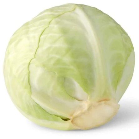 White Cabbage from Panzer's