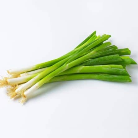 Bunch of Spring Onion from Panzer's