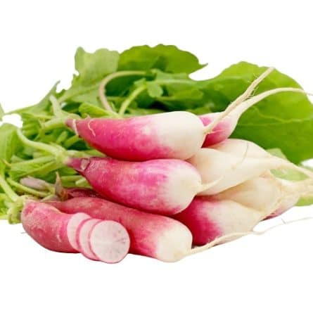 Bunch of Breakfast Radishes from Panzer's