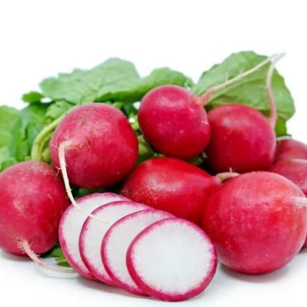 Bunch of Radishes from Panzer's