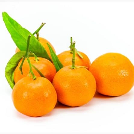 Leafy Clementines from Panzer's Landscape