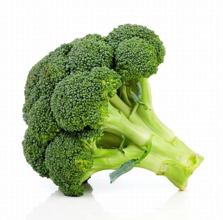 Head of Organic Broccoli from Panzer's
