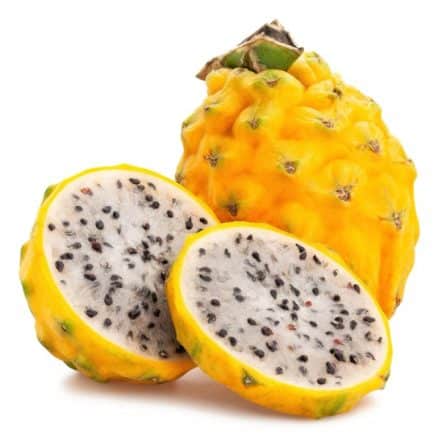 Pitaya Exotic Fruit from Panzer's