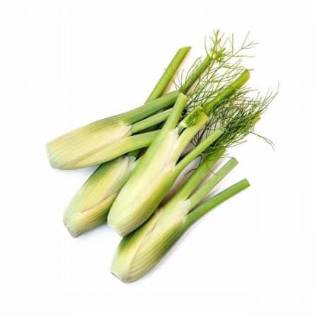 Pack of Baby Fennel from Panzer's