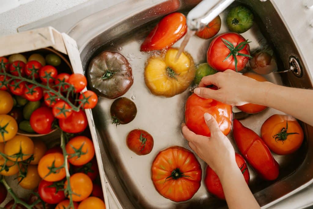 Variety of fresh mixed tomatoes from Panzer's