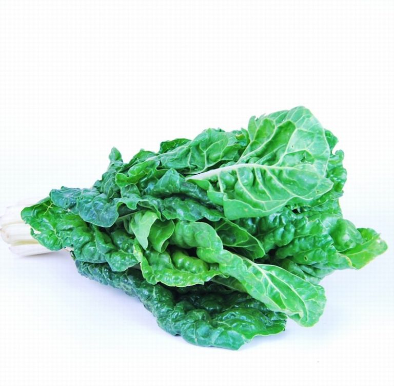 Bunch Green Chard from Panzer's