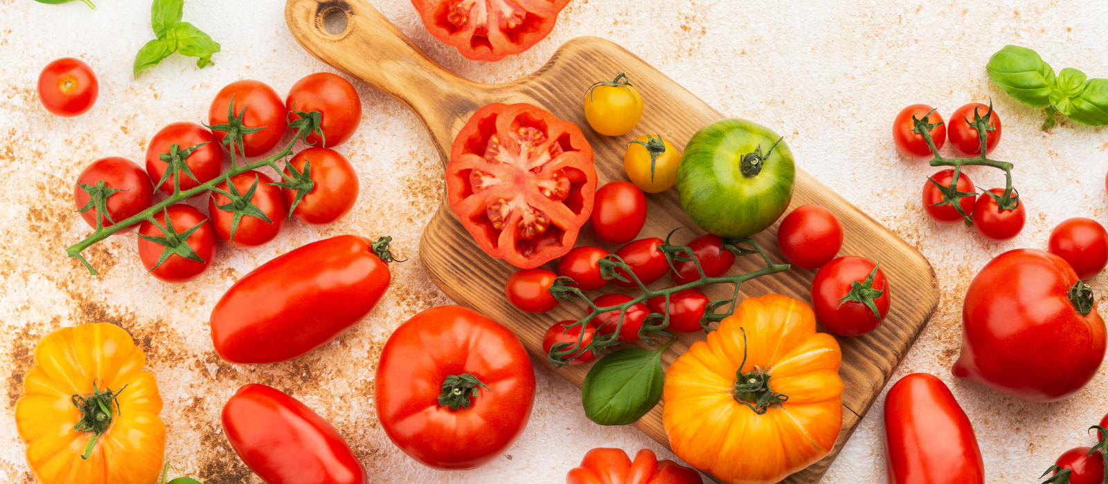 Varieties of tomatoes at Panzer's