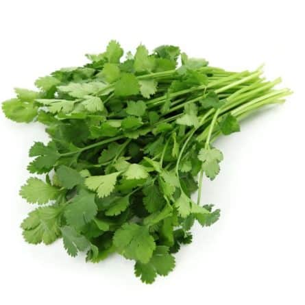 Coriander Bunch from Panzer's