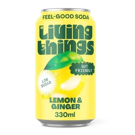 Living Things Lemon & Ginger Soda from Panzer's