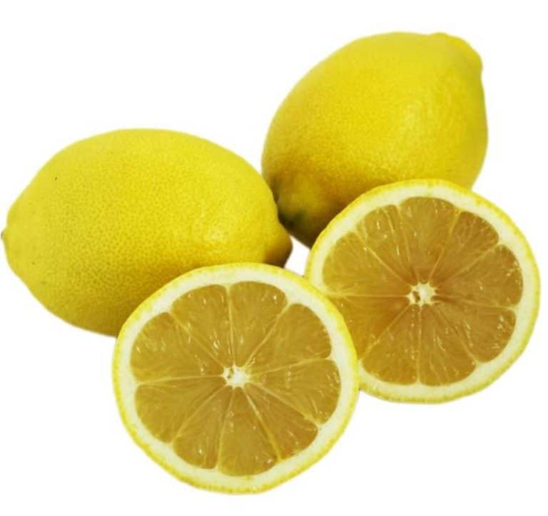 Organic Lemon from Panzer's