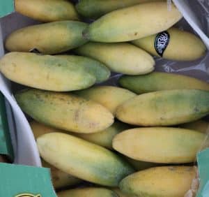 A box filled with small, oval-shaped mangoes, transitioning from green to golden yellow. Their slightly mottled skin hints at ripeness, with some still carrying a dusting of bloom. A sticker reading "Fresh" is visible on one mango, adding a touch of branding. The box’s green packaging features an illustration of bananas, perhaps a nod to the exotic fruit selection.