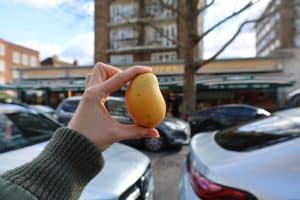 A hand in a green knitted sleeve holds up a small, golden-hued mango against the backdrop of Panzer's deli. The shop’s green-and-white awning is visible in the background, along with parked cars and a city street scene. The mango is in sharp focus, contrasting with the blurred background, drawing attention to its vibrant color and smooth texture.