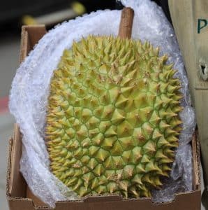 A person wearing a Panzer's apron holds an open cardboard box containing a durian fruit, carefully wrapped in bubble wrap. The durian's spiky green-yellow exterior and short stem are prominently visible. The background is blurred, showing a city street setting.