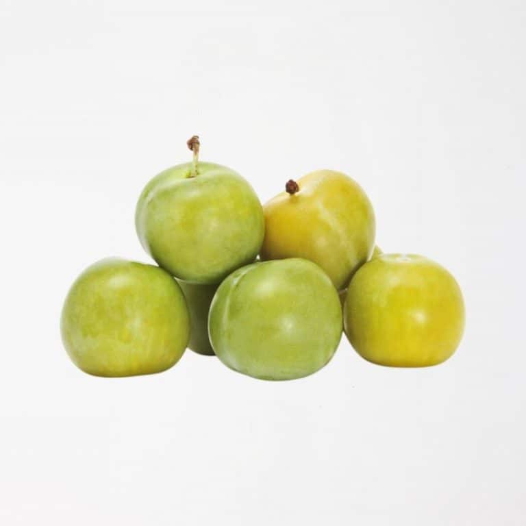 Fresh Greengage from Panzer's Square