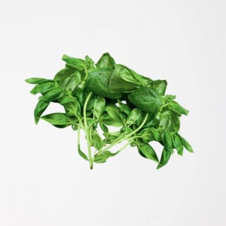 Fresh Basil from Panzer's
