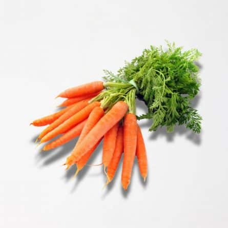 Bunch of Carrots from Panzer's