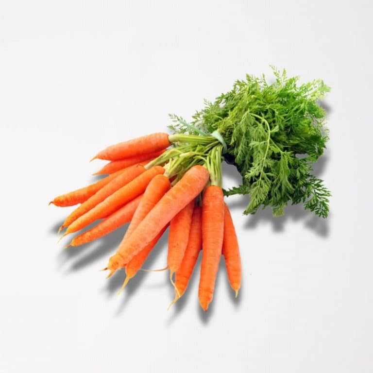 Bunch of Carrots from Panzer's
