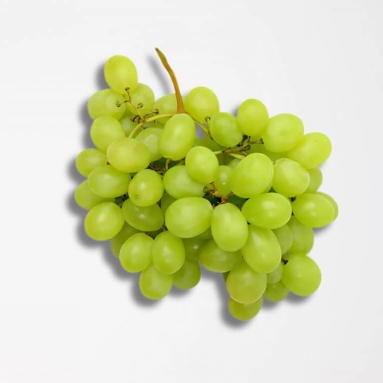 Bunch of White Seedless Grapes from Panzer's