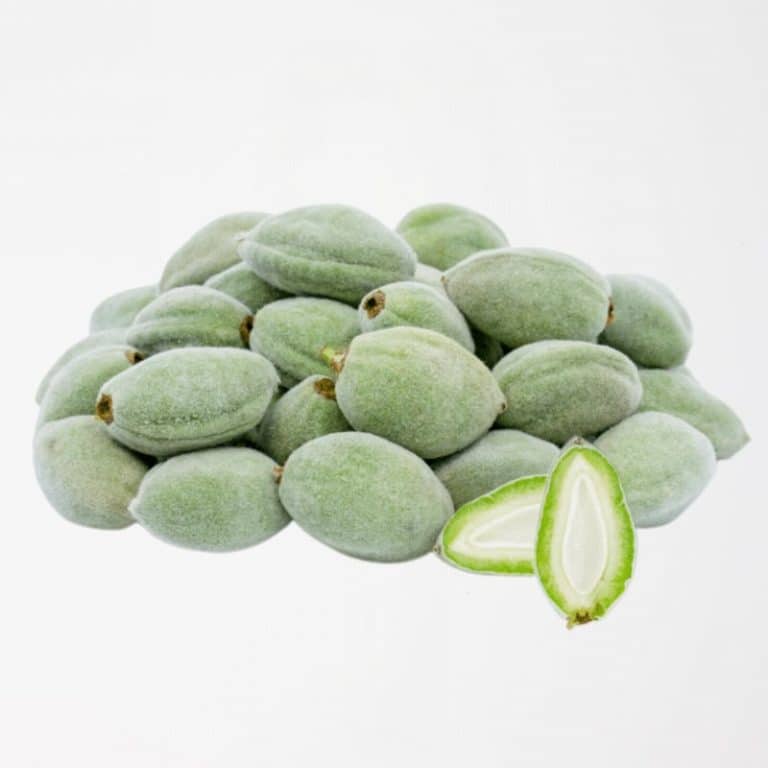 Fresh Almonds at Panzer's