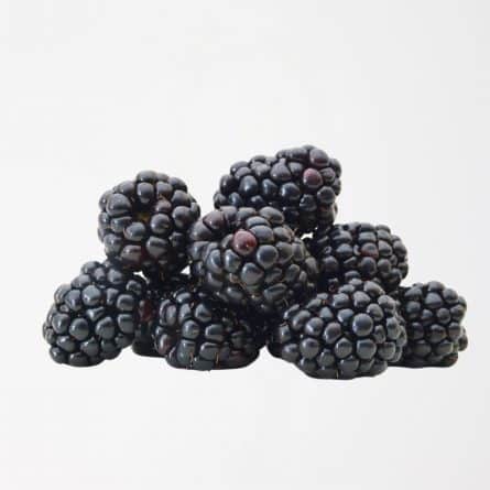 Fresh Blackberries at Panzer's