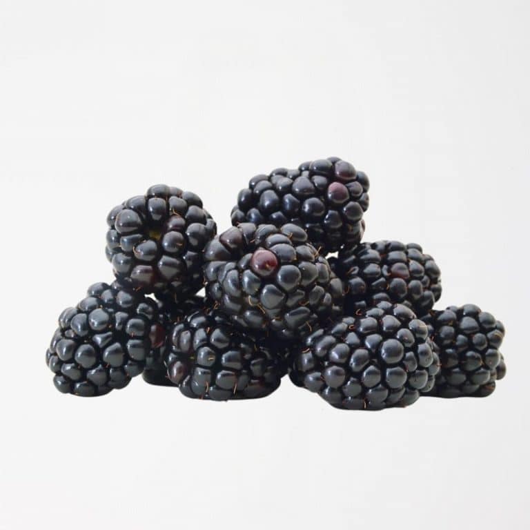 Fresh Blackberries at Panzer's