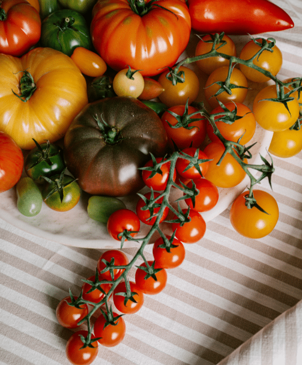 Heritage Tomatoes from Panzer's Mobile Banner June 2025