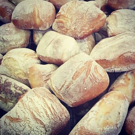 Ciabatta Rolls from Panzer's