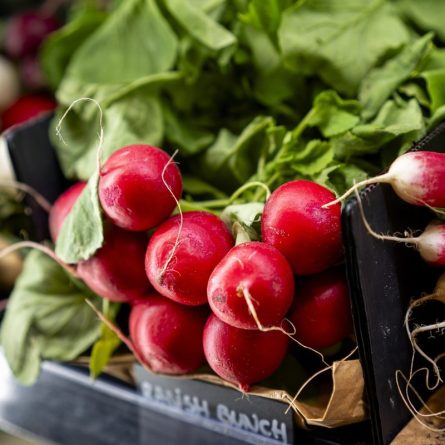 Radish - Bunch