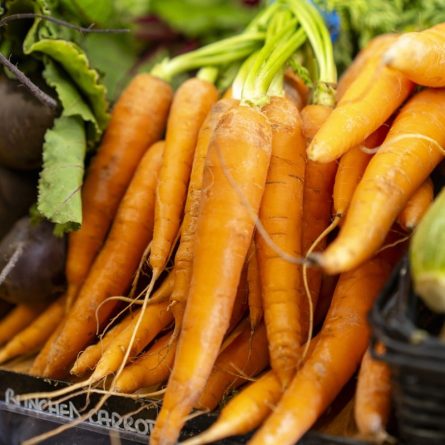 Fresh Carrot Bunch from Panzer's