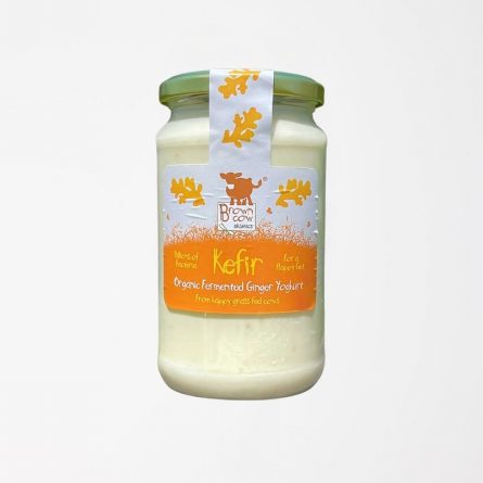 Brown Cow Organic Fermented Ginger Yoghurt from Panzer's