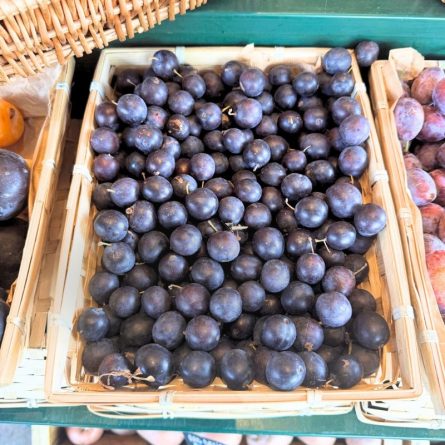 Damsons Plum from Panzer's