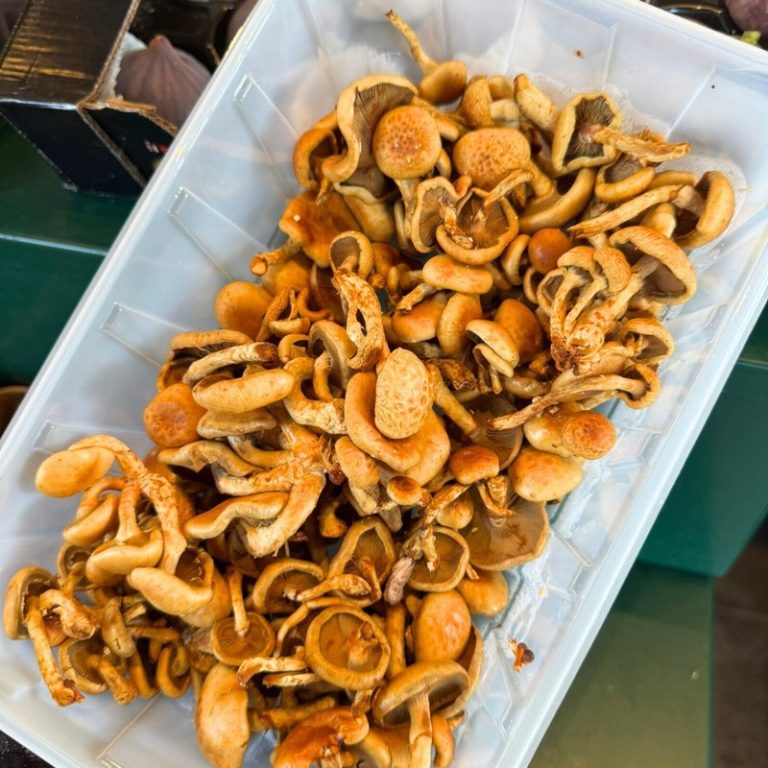 Fresh Nameko Mushroom from Panzer's