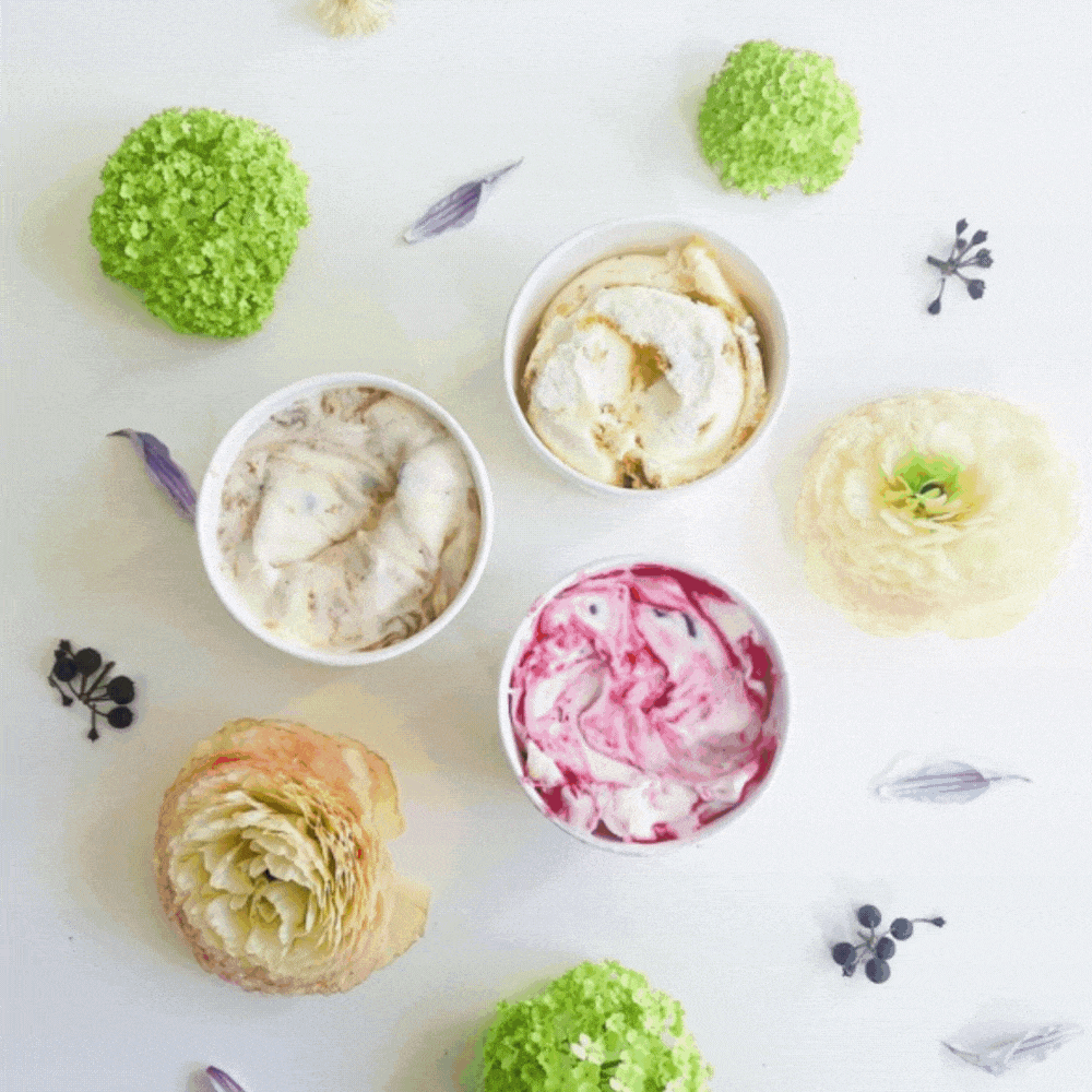 The Bears Ice Cream Gif