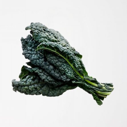 Fresh Cavolo Nero Bunch at Panzer's