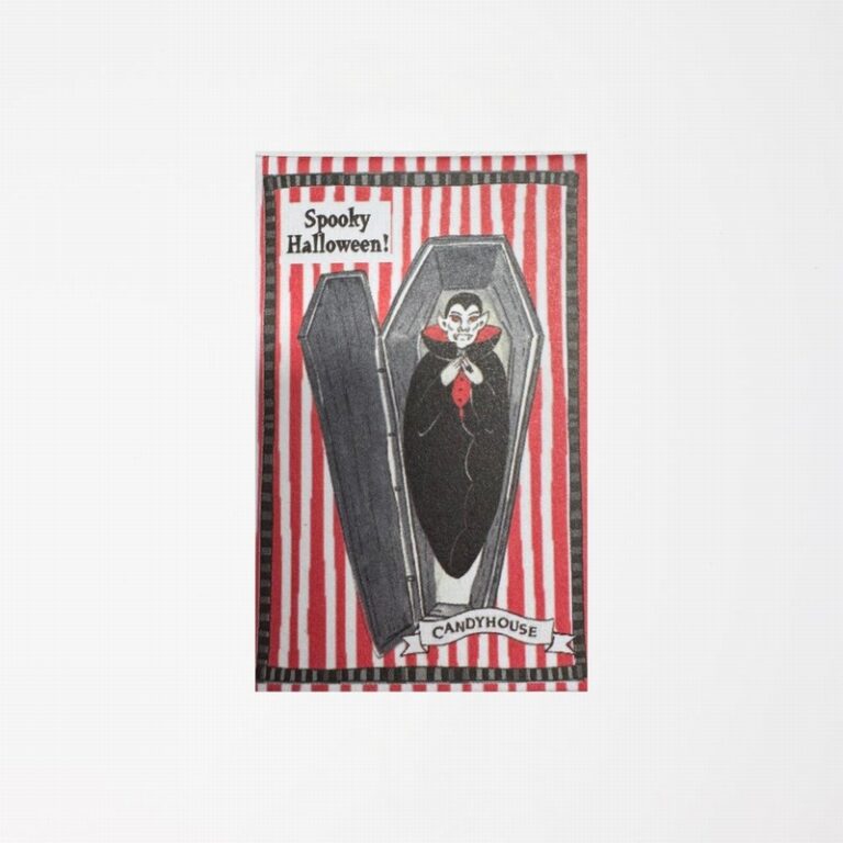 Candy House Dracula Coffin Match Box from Panzer's