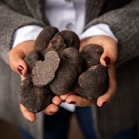 Autumn Black Truffle Tasting 28th October